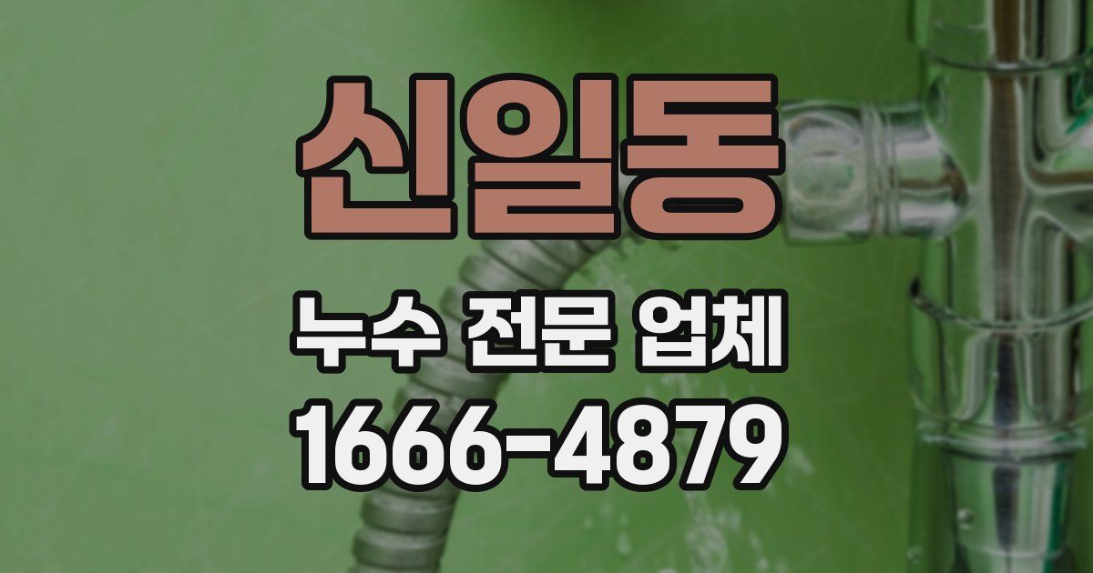신일동 누수 전문 업체