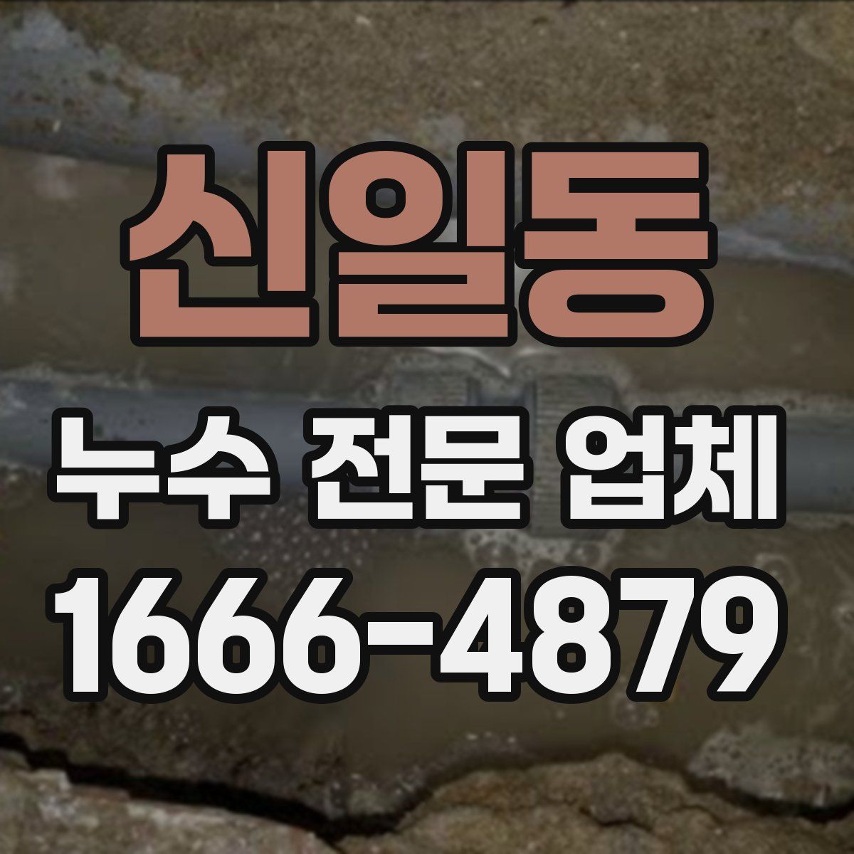신일동 누수 전문 업체