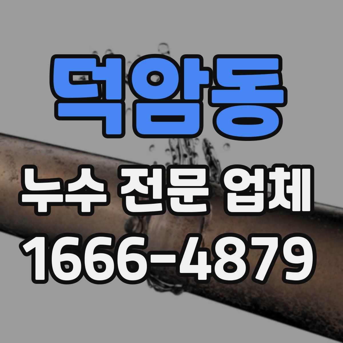 덕암동 누수 전문 업체