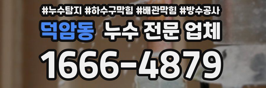 덕암동 누수 전문 업체