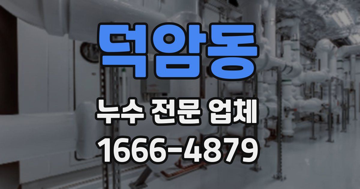 덕암동 누수 전문 업체