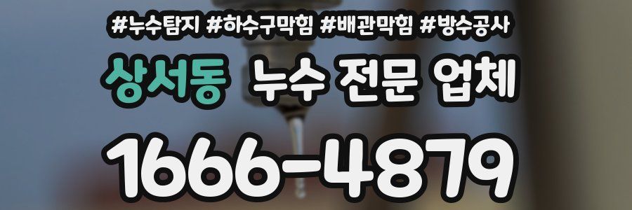 상서동 누수 전문 업체