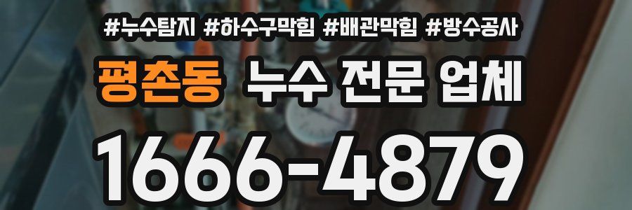 평촌동 누수 전문 업체