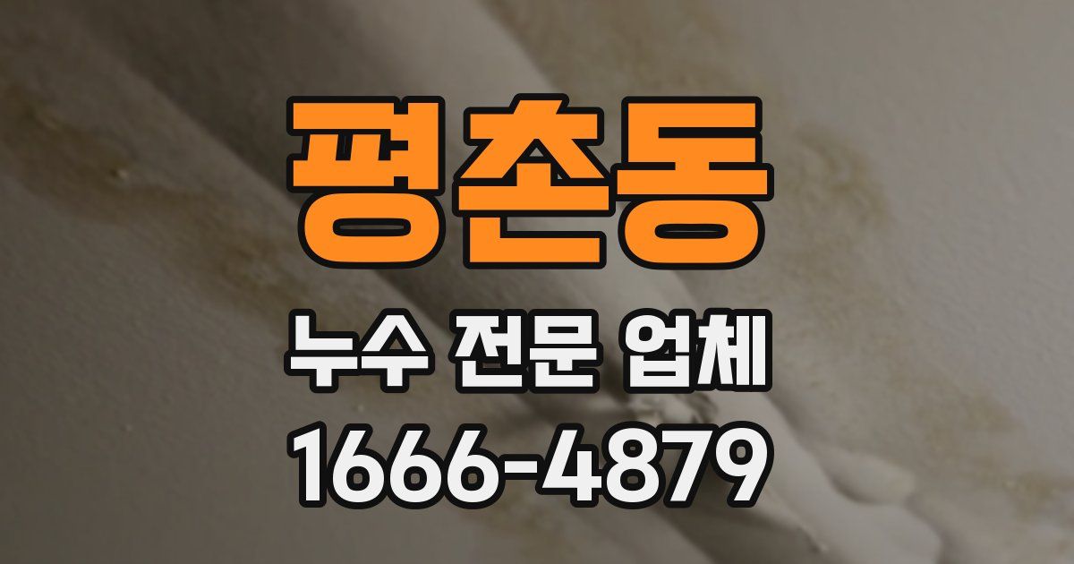 평촌동 누수 전문 업체