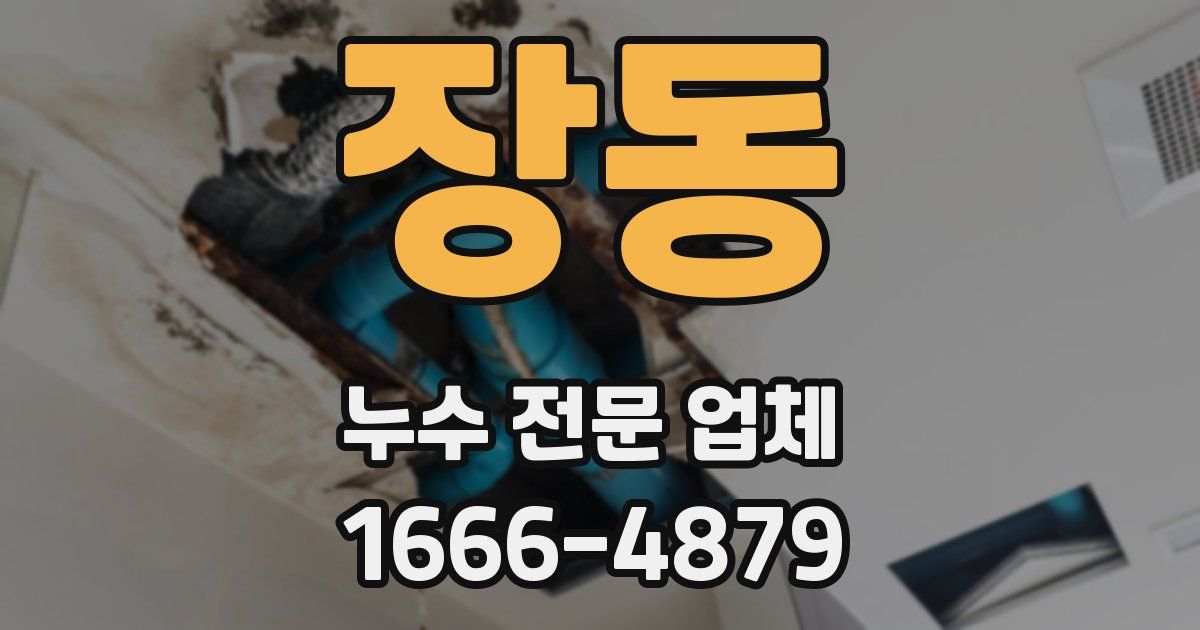 장동 누수 전문 업체