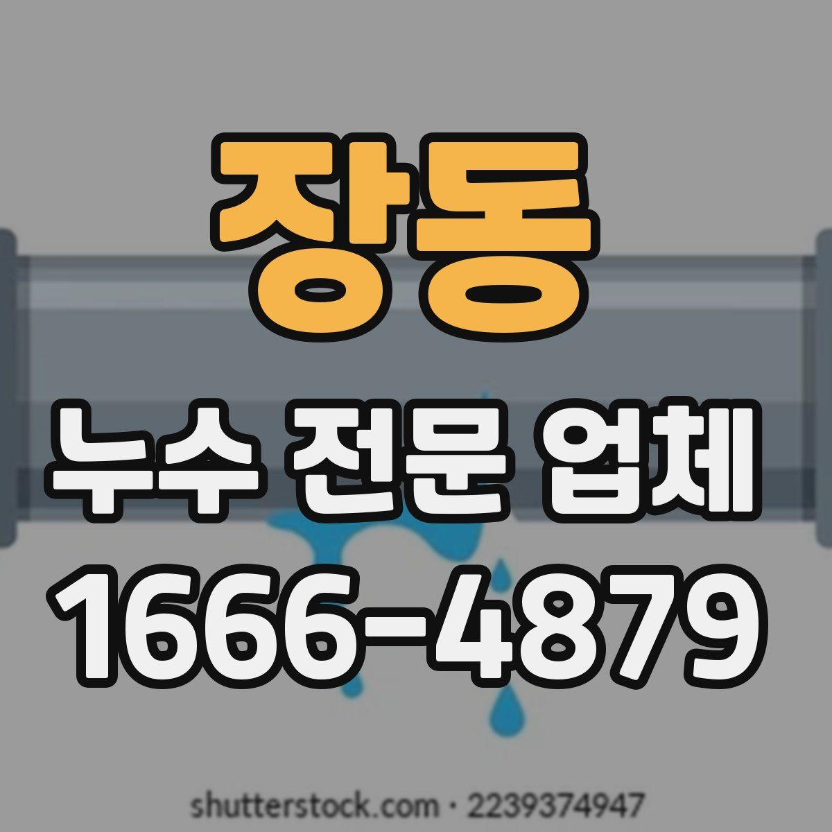 장동 누수 전문 업체