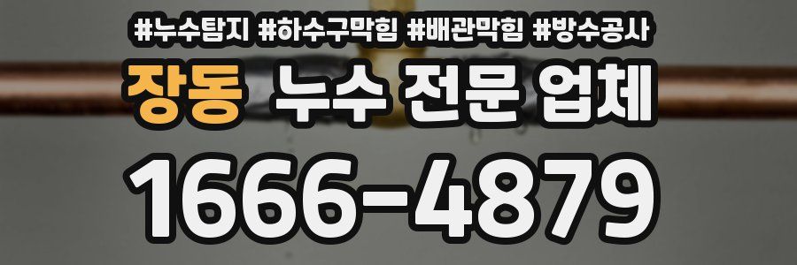 장동 누수 전문 업체