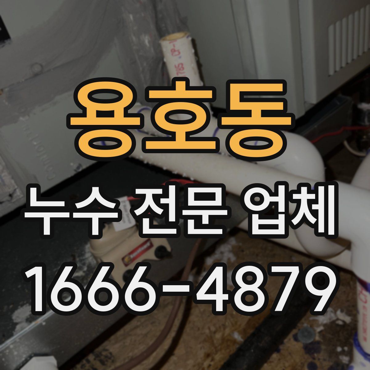 용호동 누수 전문 업체