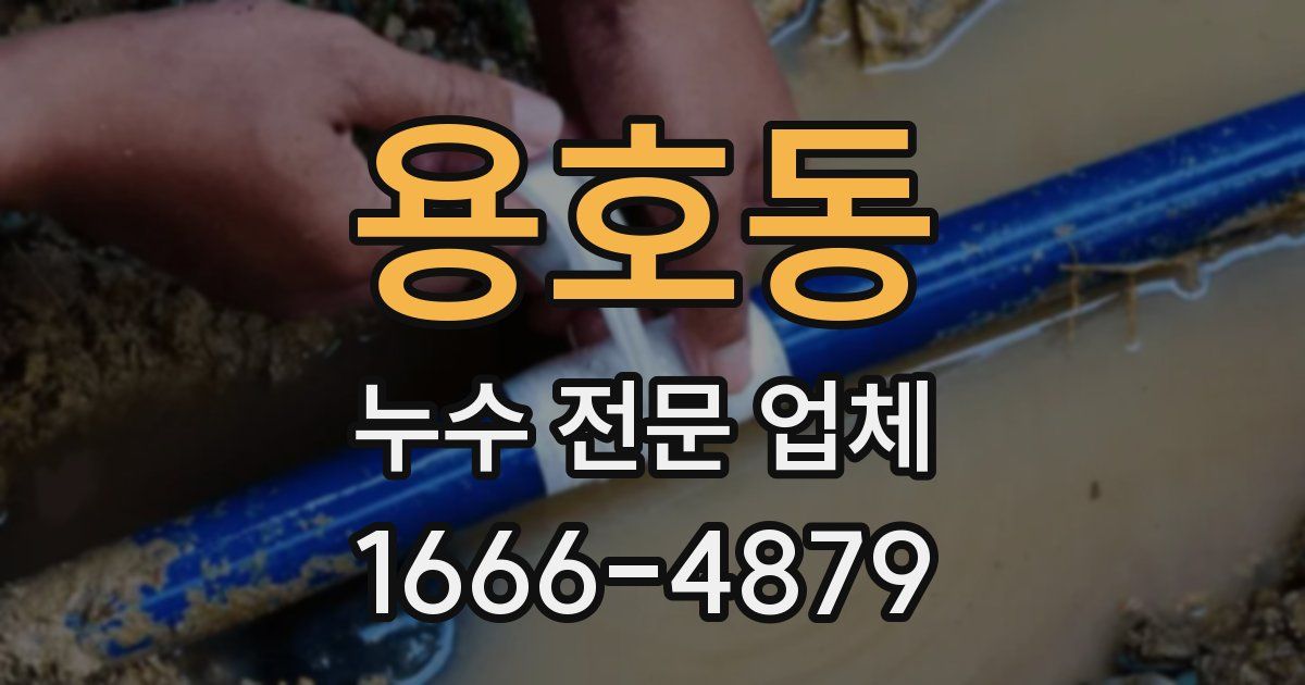 용호동 누수 전문 업체