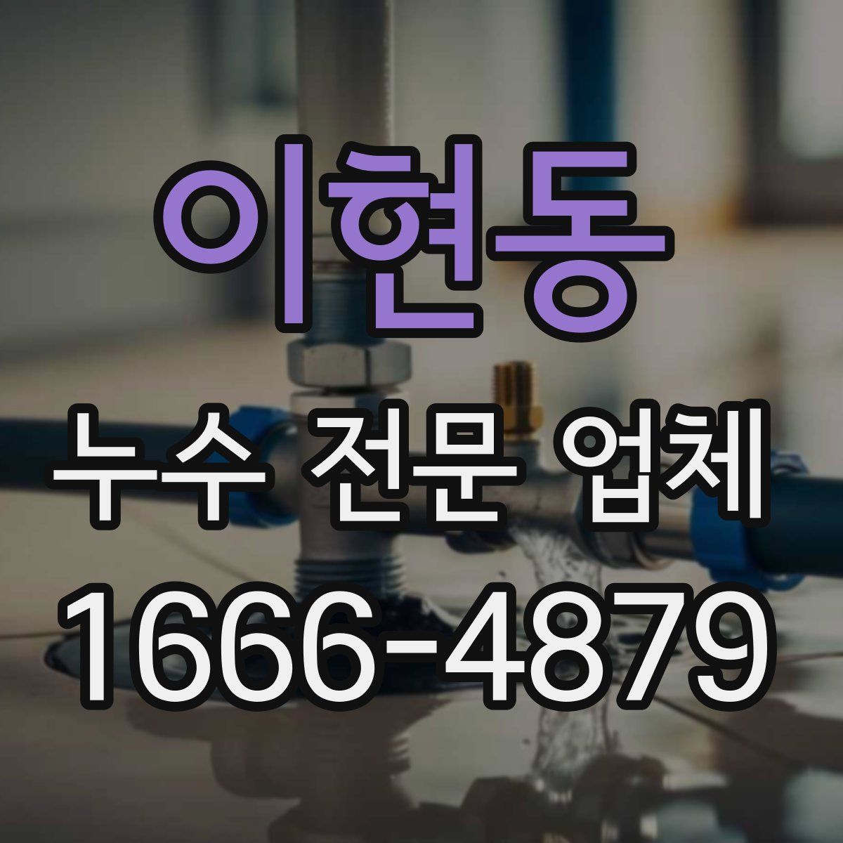 이현동 누수 전문 업체