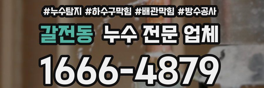 갈전동 누수 전문 업체