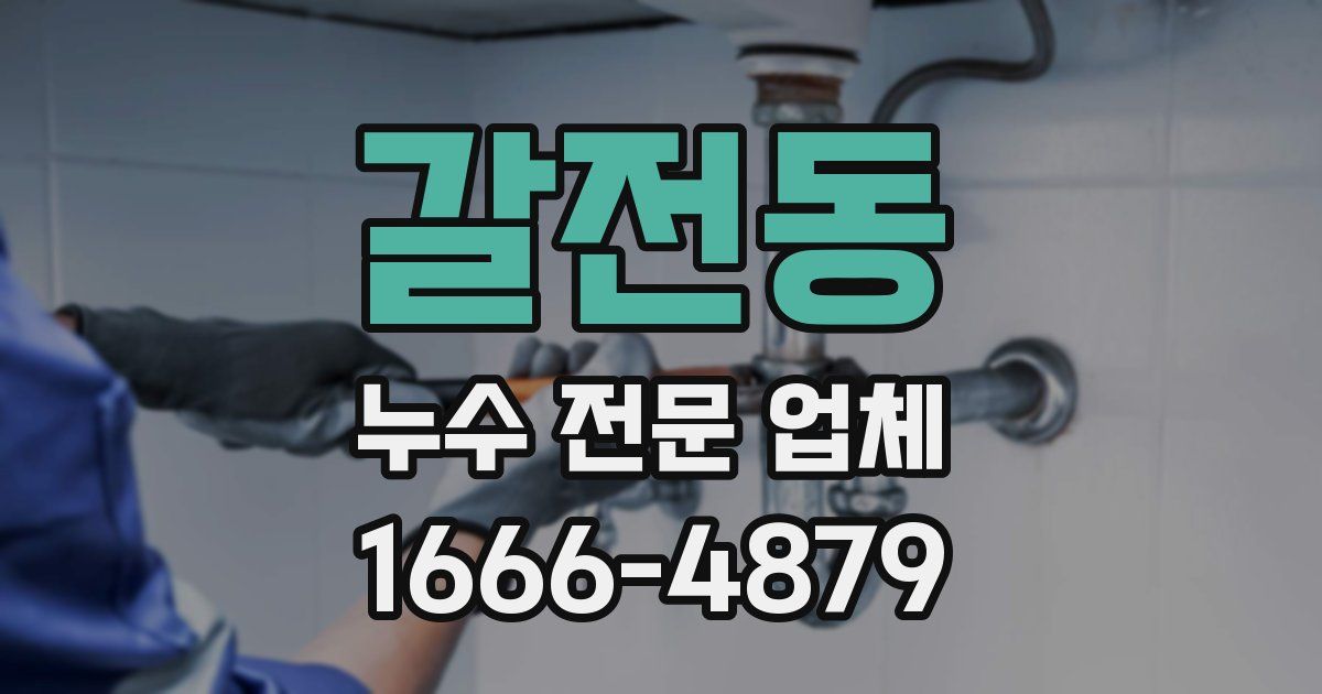 갈전동 누수 전문 업체