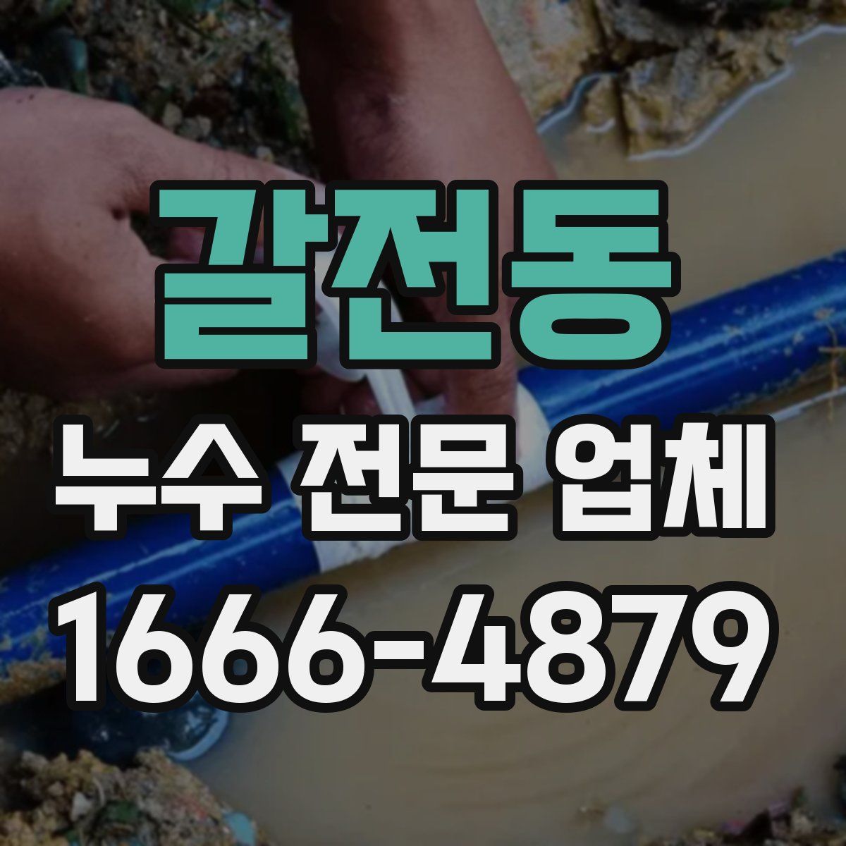 갈전동 누수 전문 업체