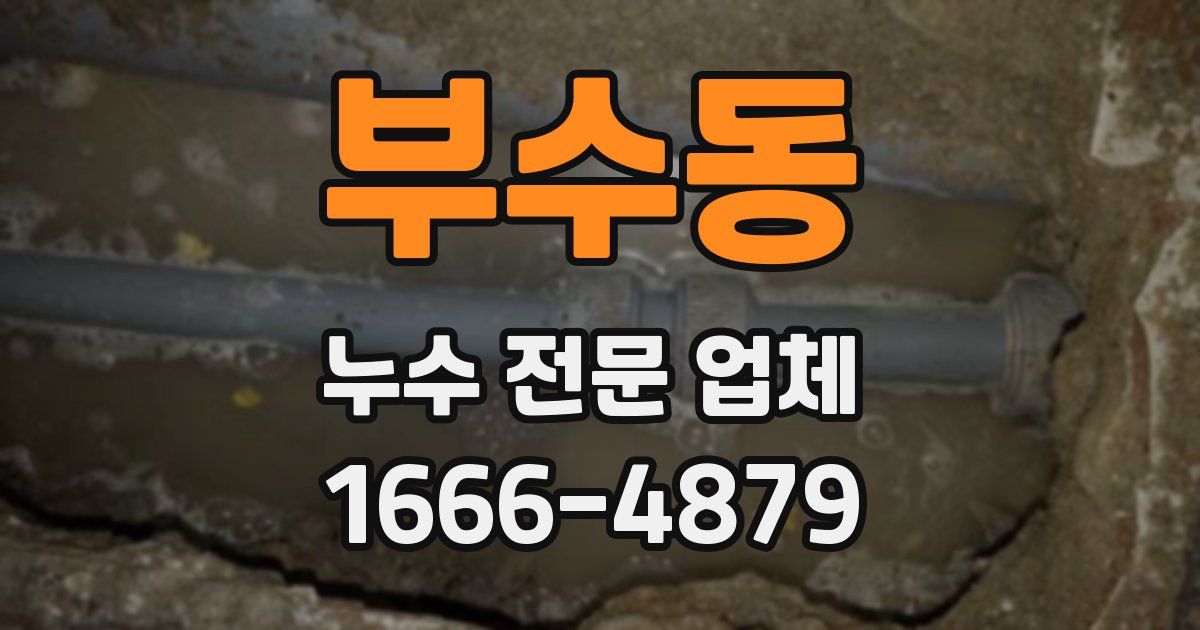 부수동 누수 전문 업체