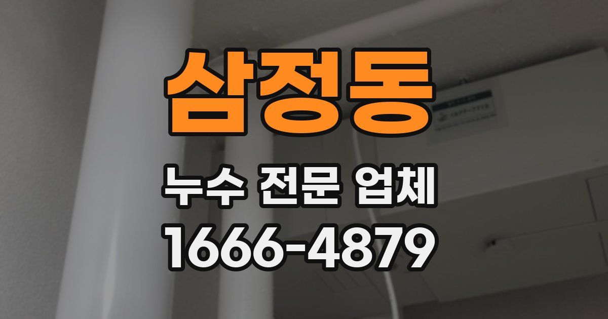 삼정동 누수 전문 업체