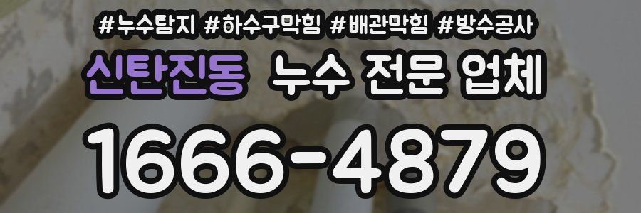 신탄진동 누수 전문 업체