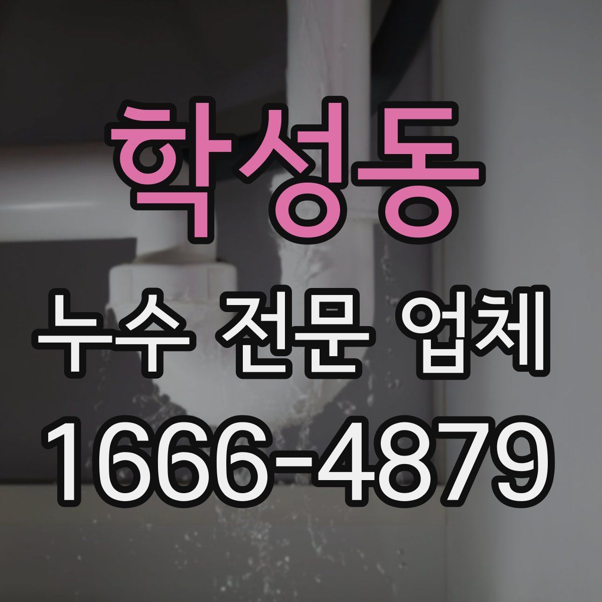 학성동 누수 전문 업체