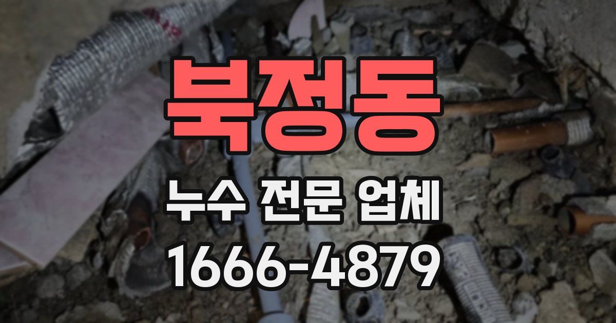 북정동 누수 전문 업체
