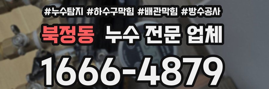 북정동 누수 전문 업체