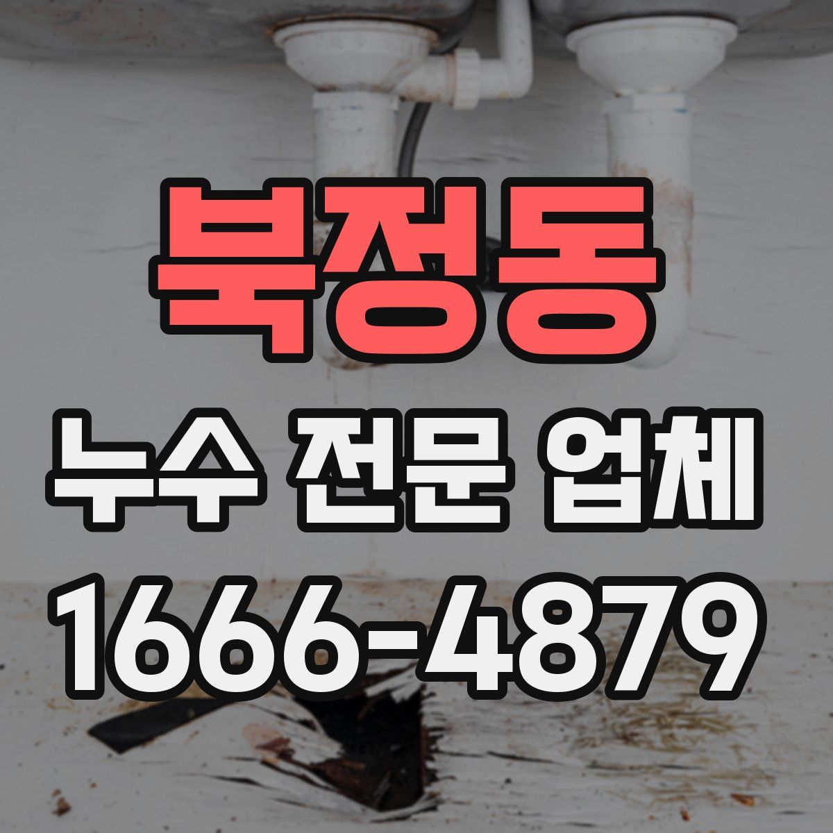 북정동 누수 전문 업체
