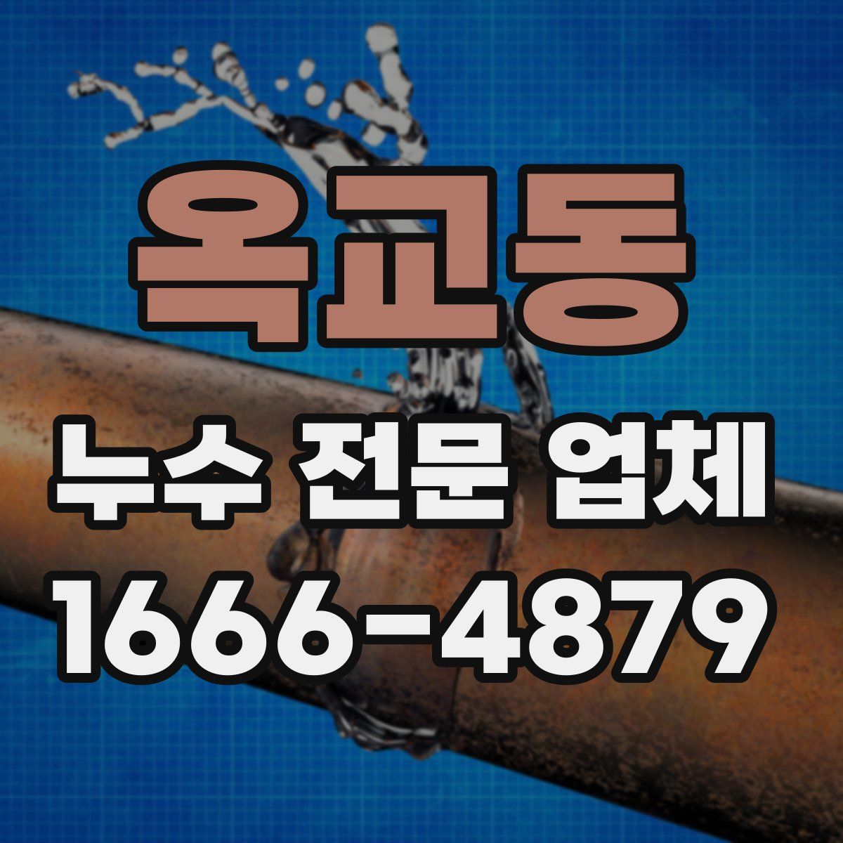 옥교동 누수 전문 업체