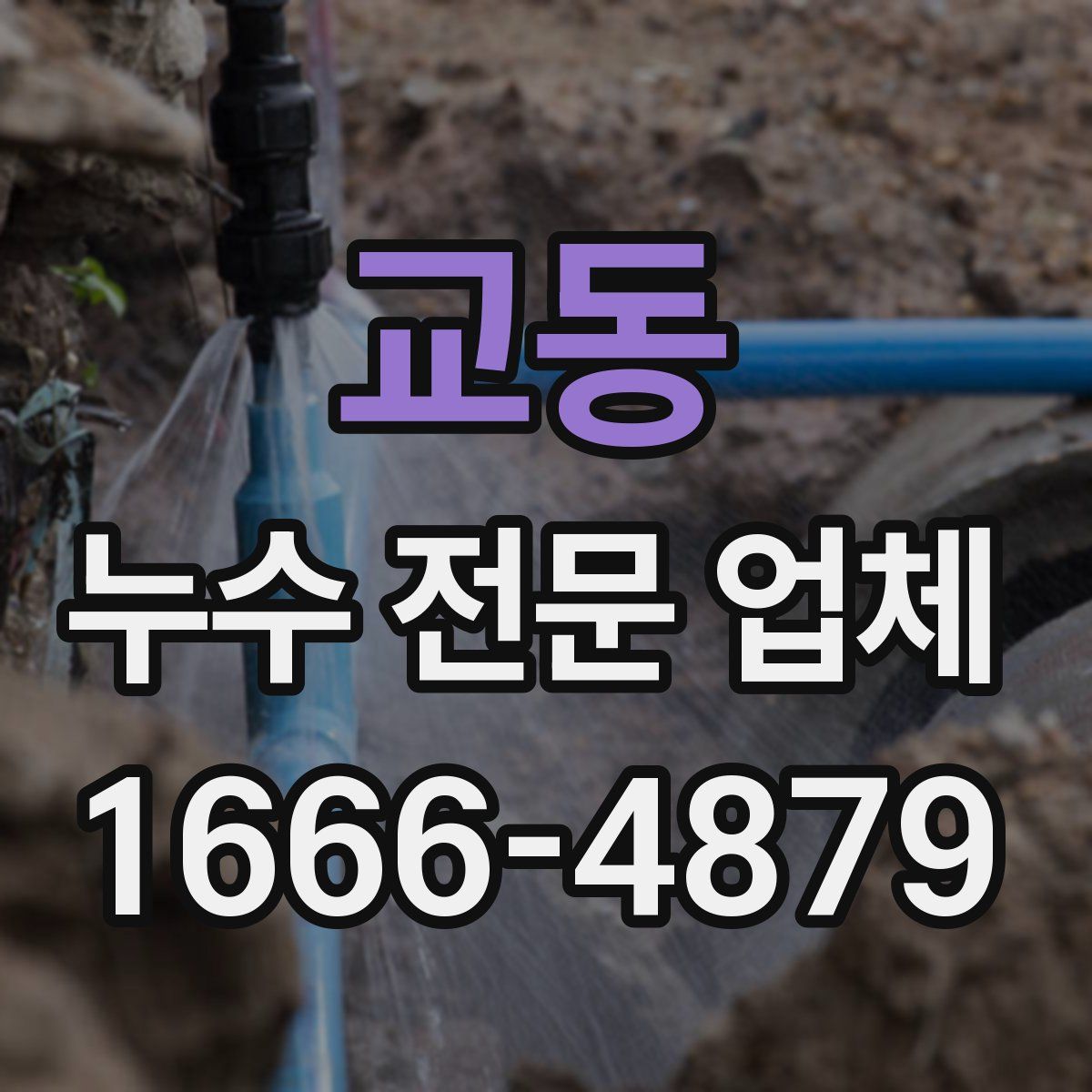 교동 누수 전문 업체