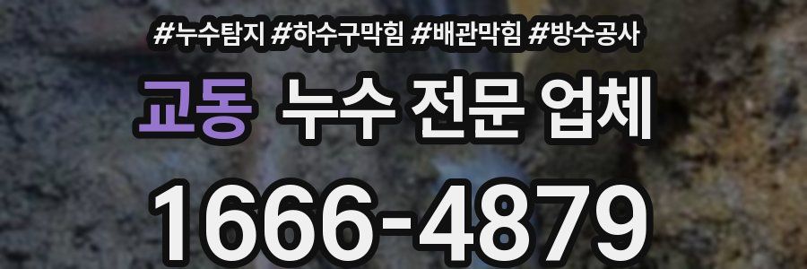 교동 누수 전문 업체