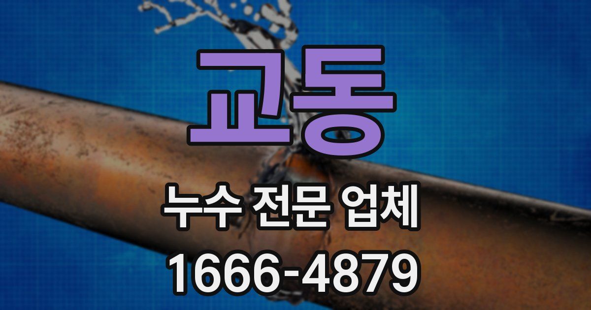 교동 누수 전문 업체