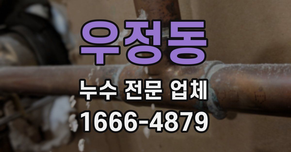 우정동 누수 전문 업체