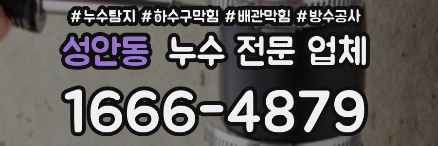 성안동 누수 전문 업체