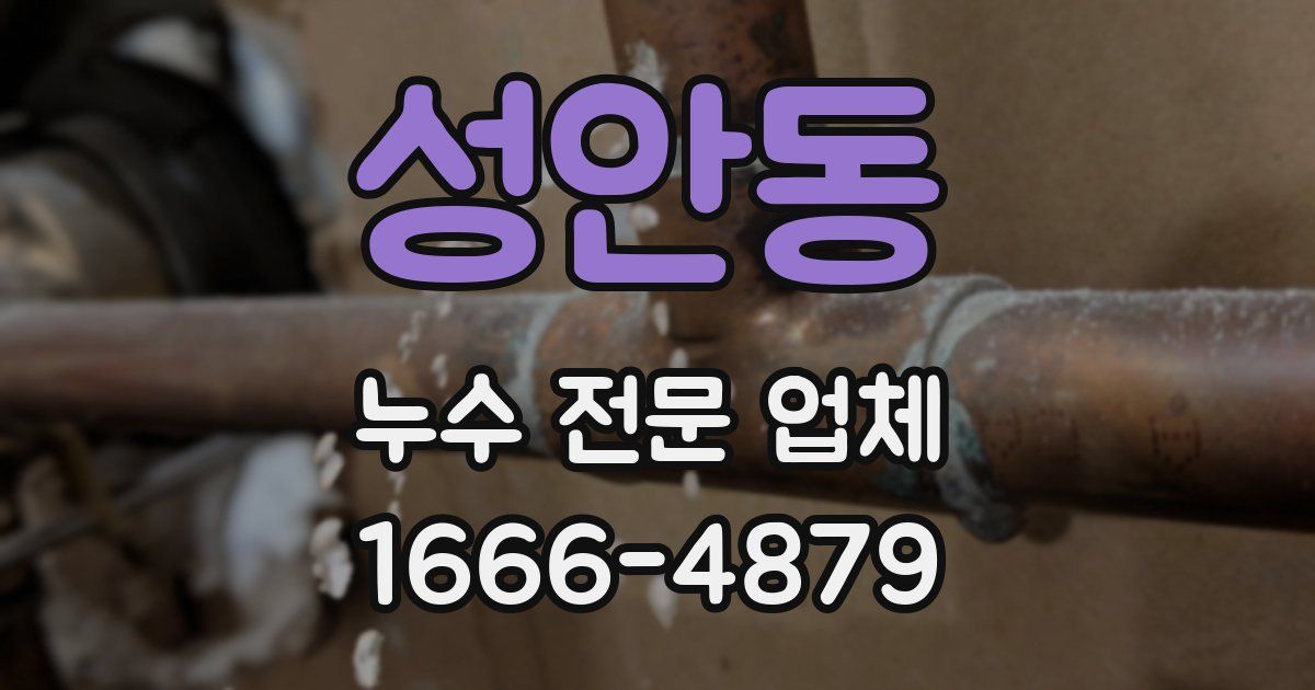 성안동 누수 전문 업체