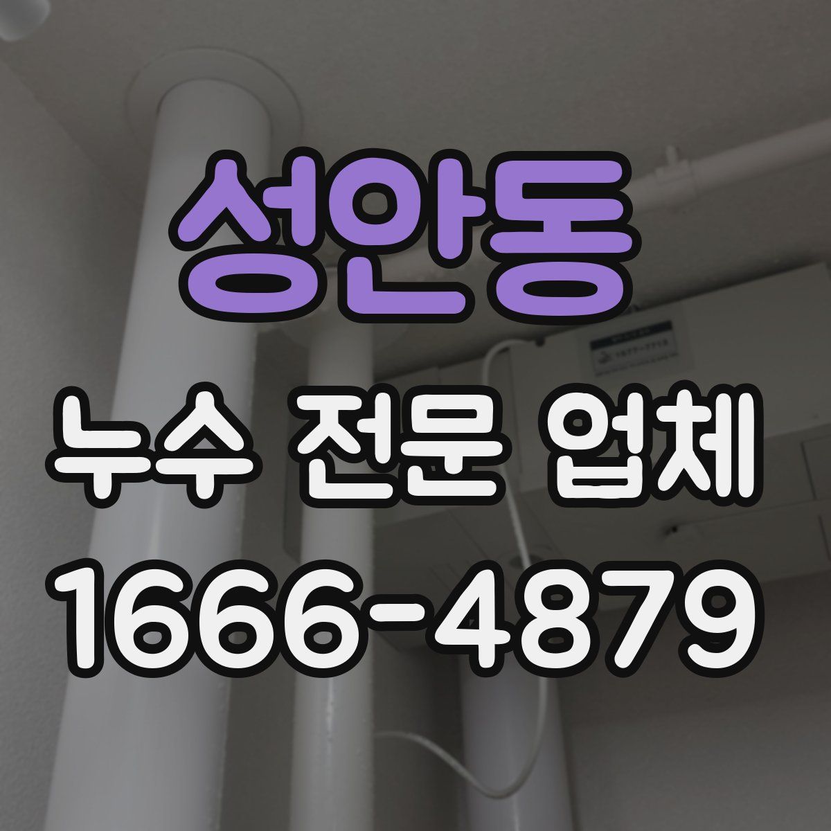성안동 누수 전문 업체
