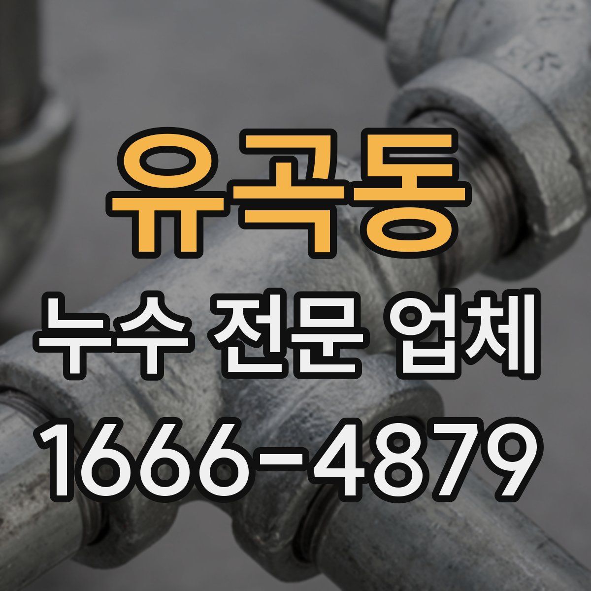 유곡동 누수 전문 업체
