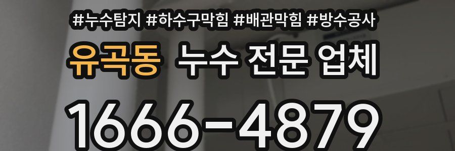 유곡동 누수 전문 업체