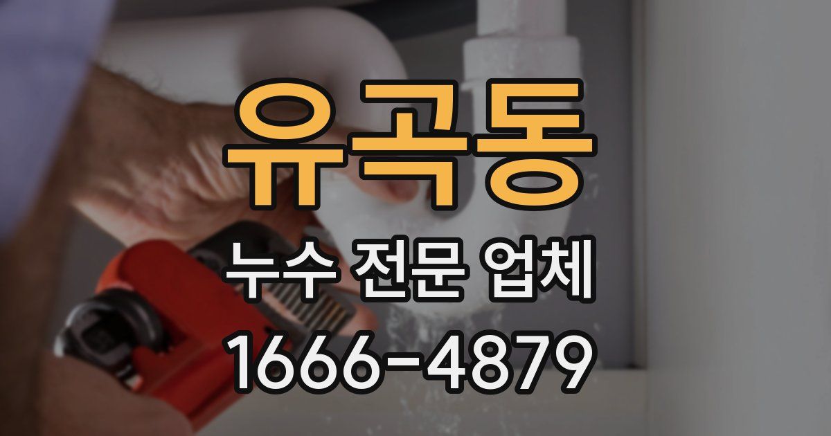 유곡동 누수 전문 업체
