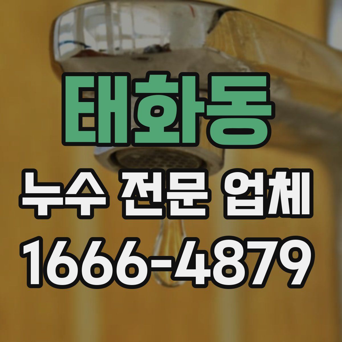 태화동 누수 전문 업체