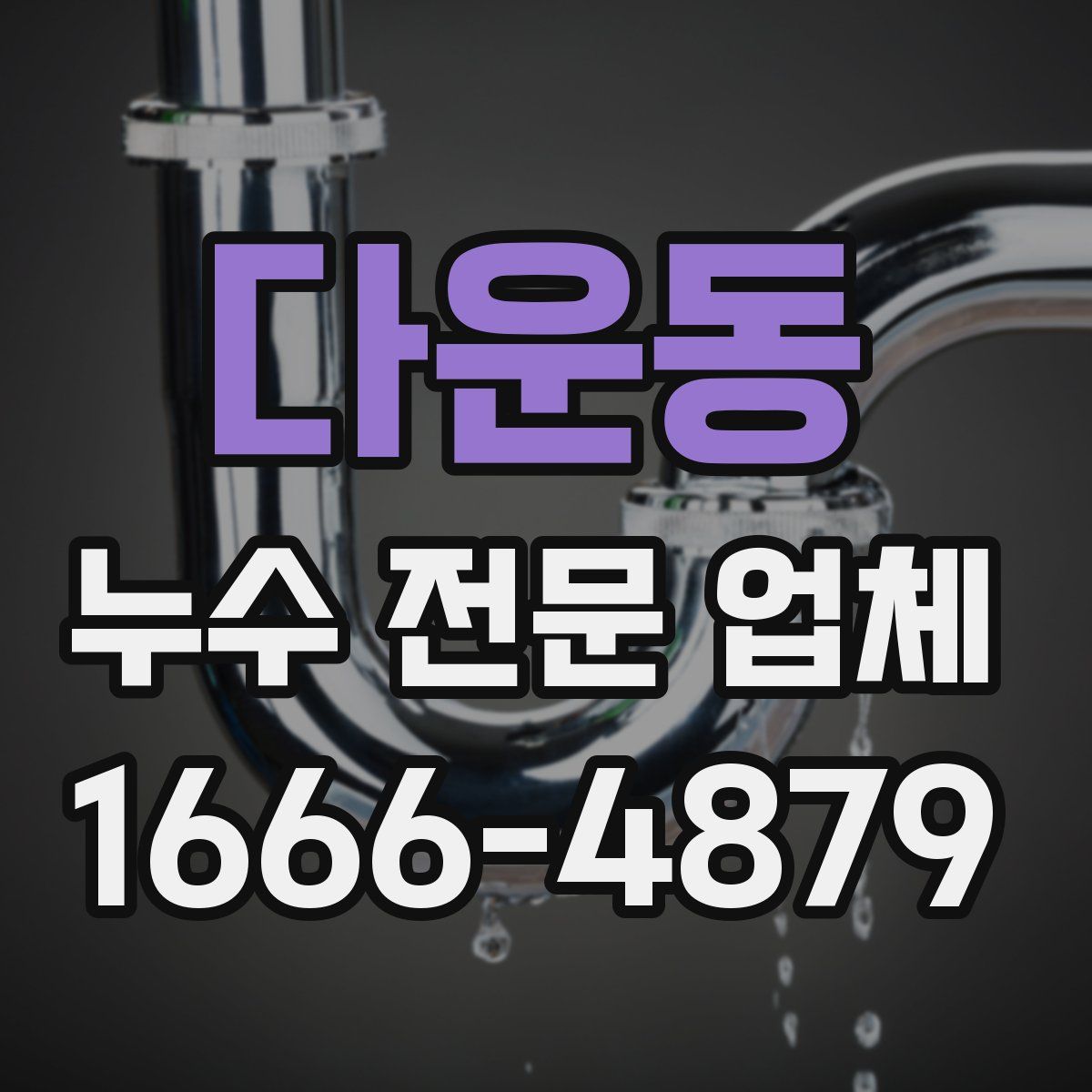 다운동 누수 전문 업체