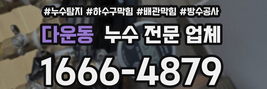 다운동 누수 전문 업체