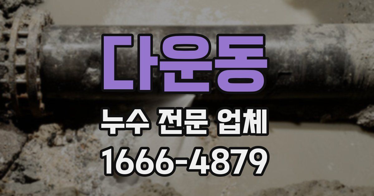 다운동 누수 전문 업체
