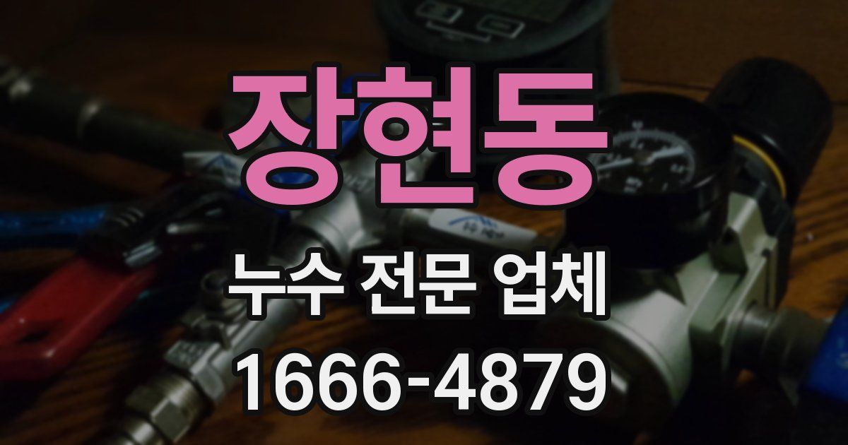 장현동 누수 전문 업체