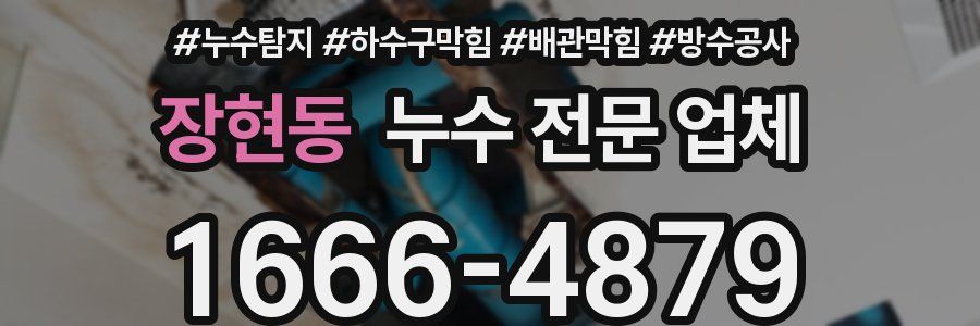 장현동 누수 전문 업체