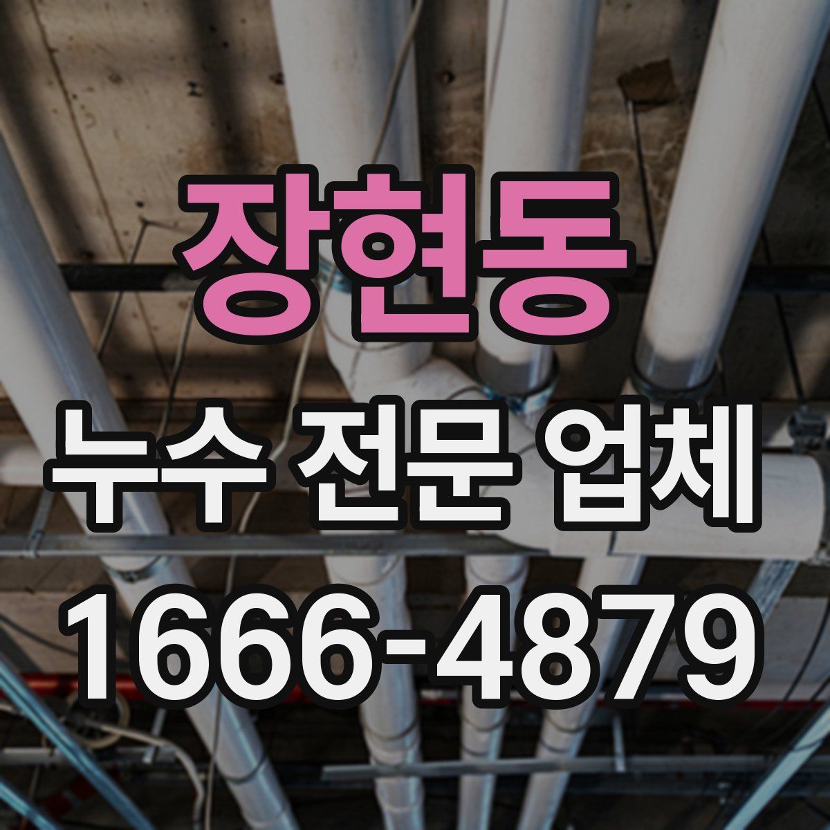 장현동 누수 전문 업체
