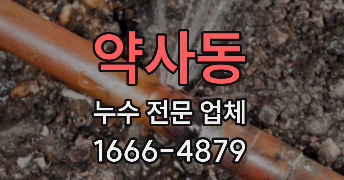 약사동 누수 전문 업체