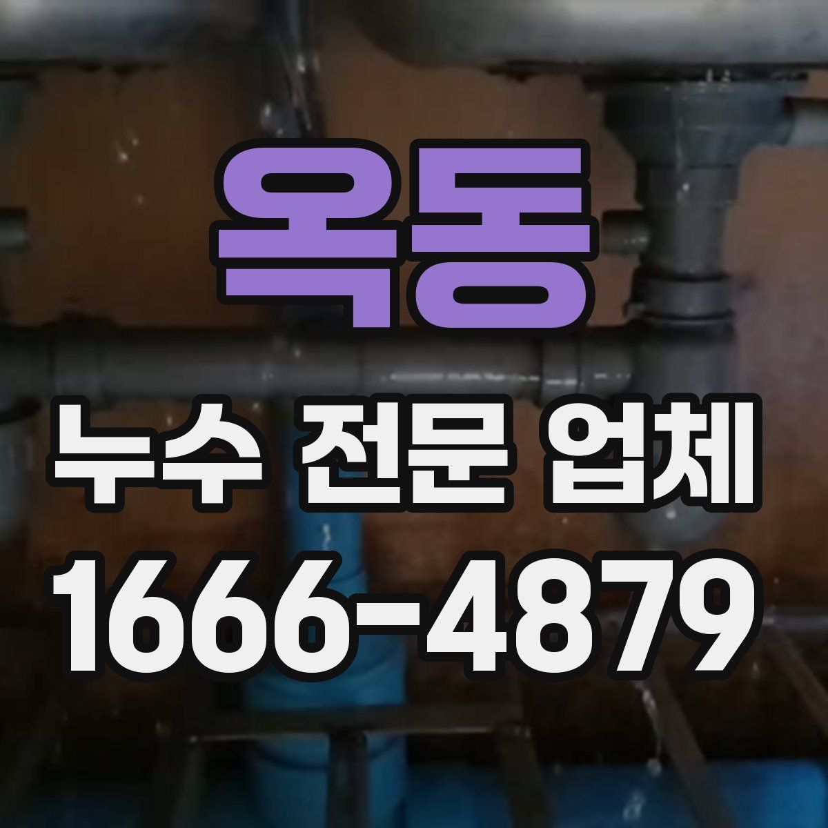 옥동 누수 전문 업체