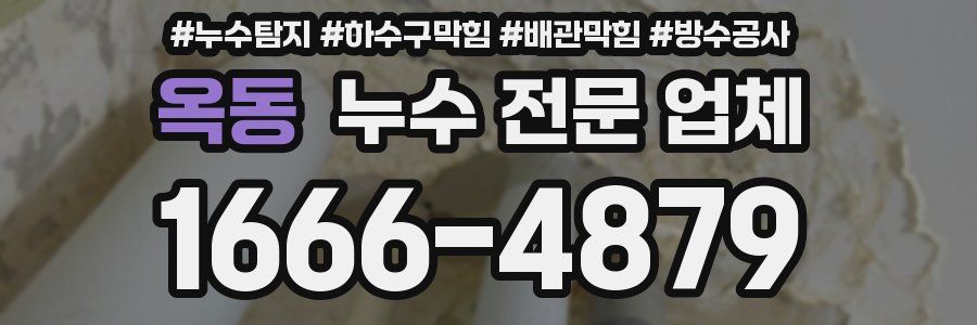 옥동 누수 전문 업체