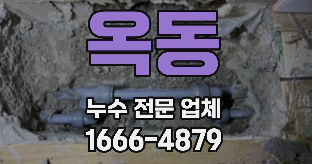 옥동 누수 전문 업체
