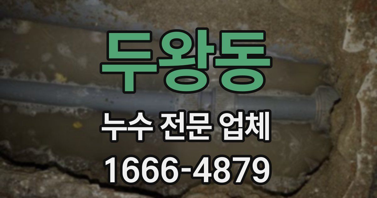 두왕동 누수 전문 업체