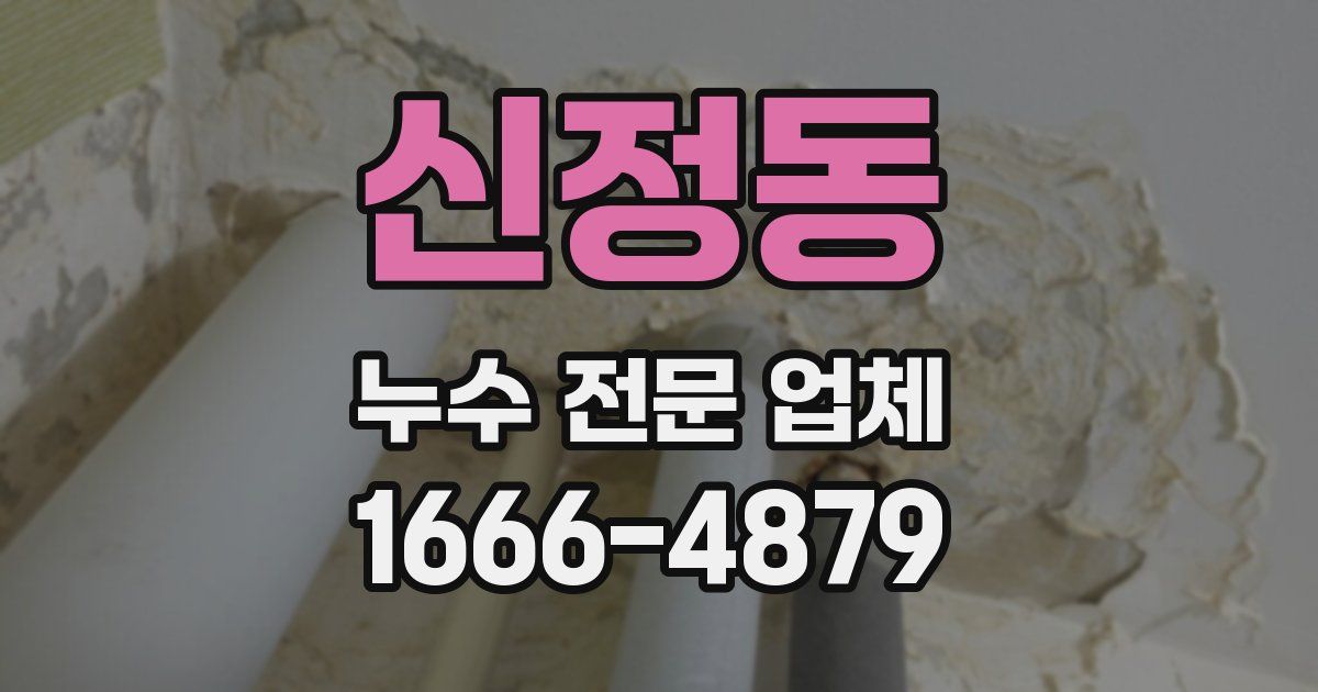 신정동 누수 전문 업체