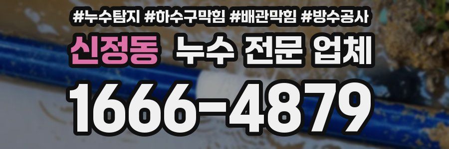 신정동 누수 전문 업체