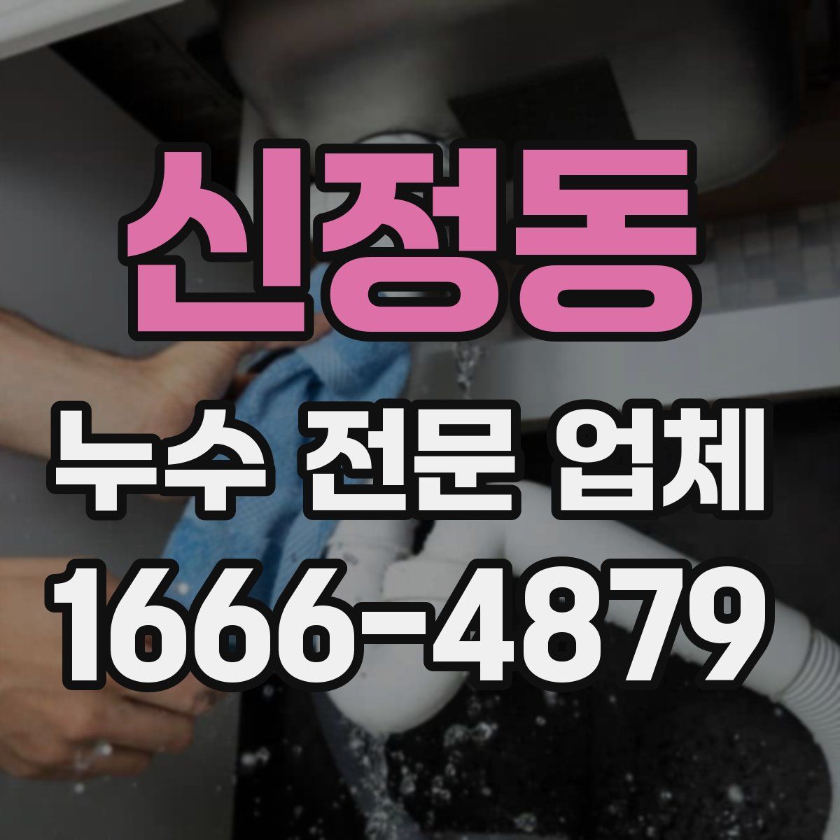 신정동 누수 전문 업체